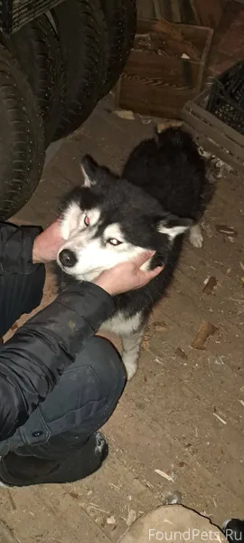 За посёлком Туокслахти(гос. Ко...