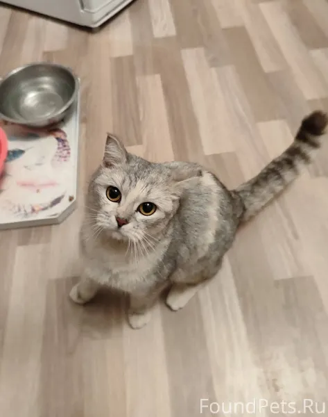 Опубликуйте пожалуйста🙏🙏💓 Найд...