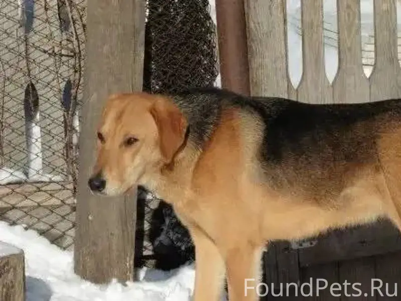 28.12 В Шуйском районе лес...