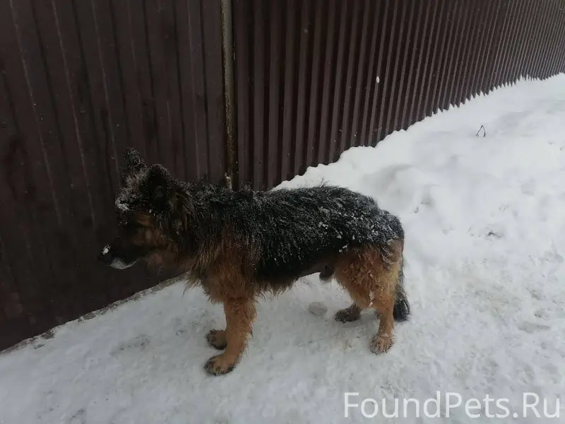 Звенигород, Верхний Посад, пер...