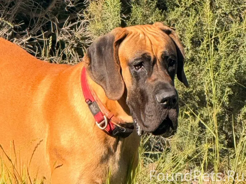 Я почти потеряла надежду… Тем ...