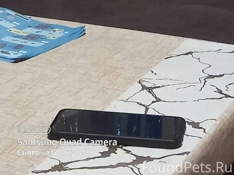 Потерялась собака бигель (по к...