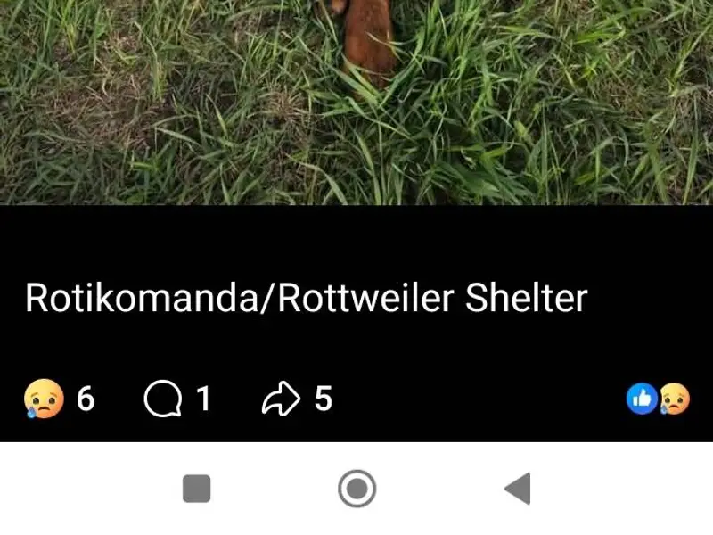 Помогаем информационно! Добрый...