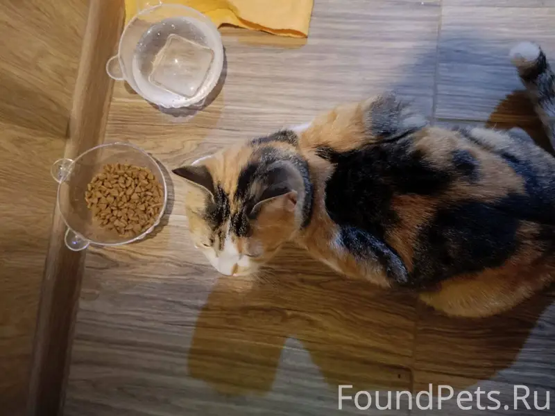 Здравствуйте! Может, кто-то по...