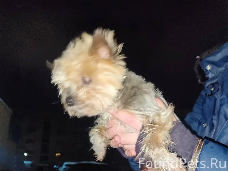 Здравствуйте, в районе непокор...