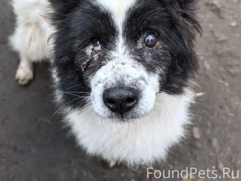 29.12.2025 по адресу: Подольск...
