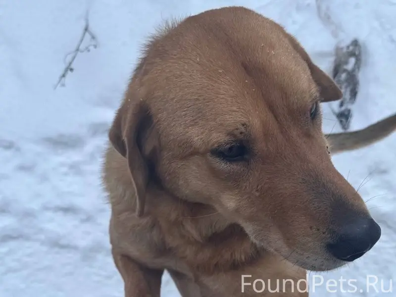 27 декабря в городе Кинешма в....