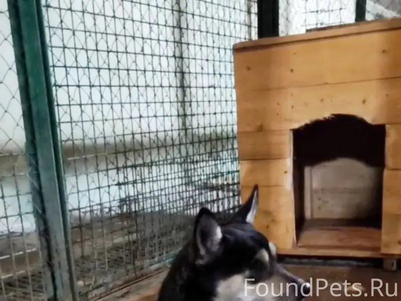 Парень - мелкашик из отлова 29...