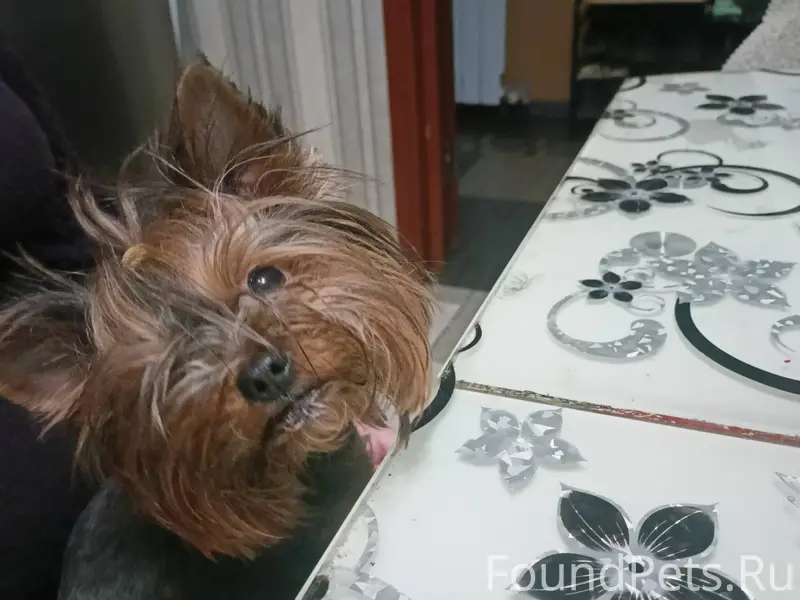 Внимание! Белгородский р-он, п...