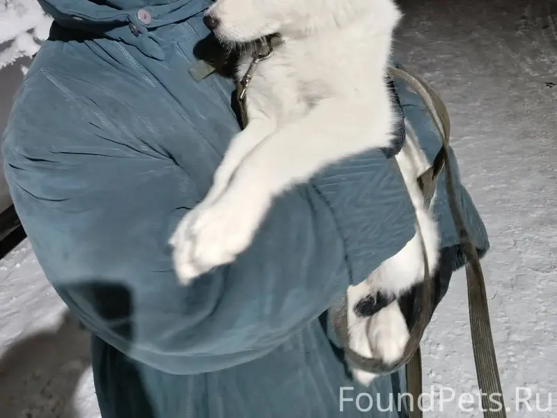 Здравствуйте! 31 декабря в рай...