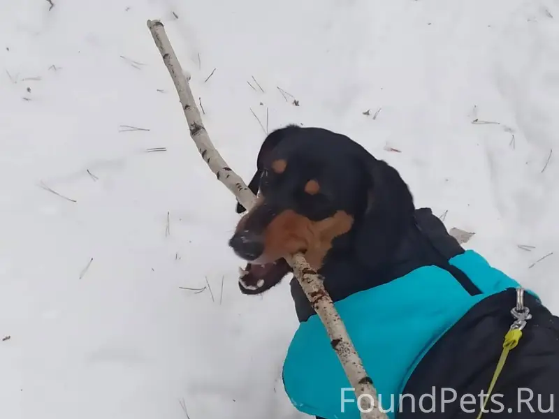 Здравствуйте. Разместите пожал...