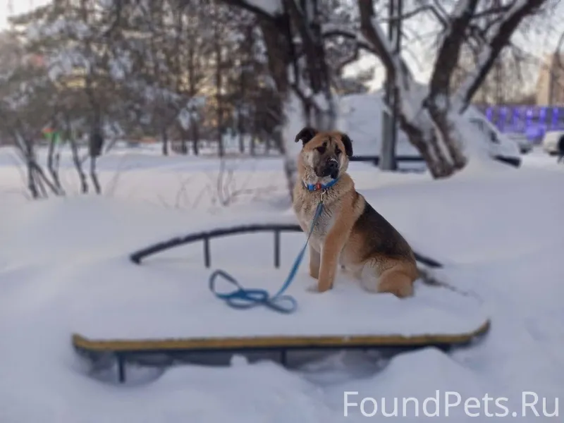 Всех с наступающим новым годом...