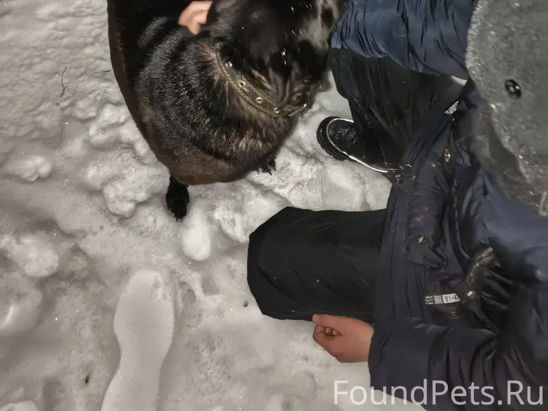 Всем привет! с новым годом вас...