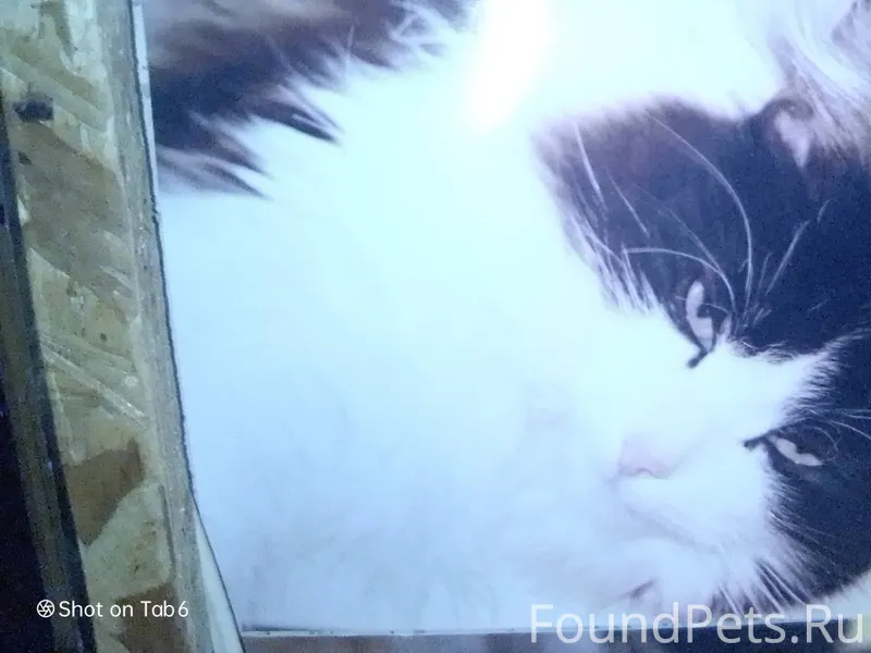 Друзья, трое суток назад, в ра...