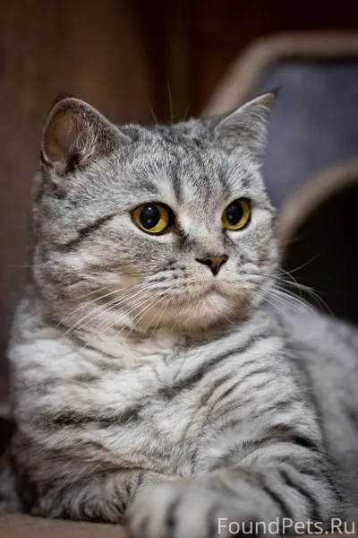 В Новый год хочется поделиться...