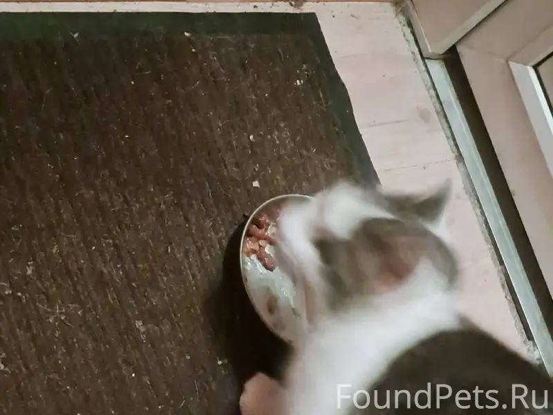 Всем здравствуйте. Район город...