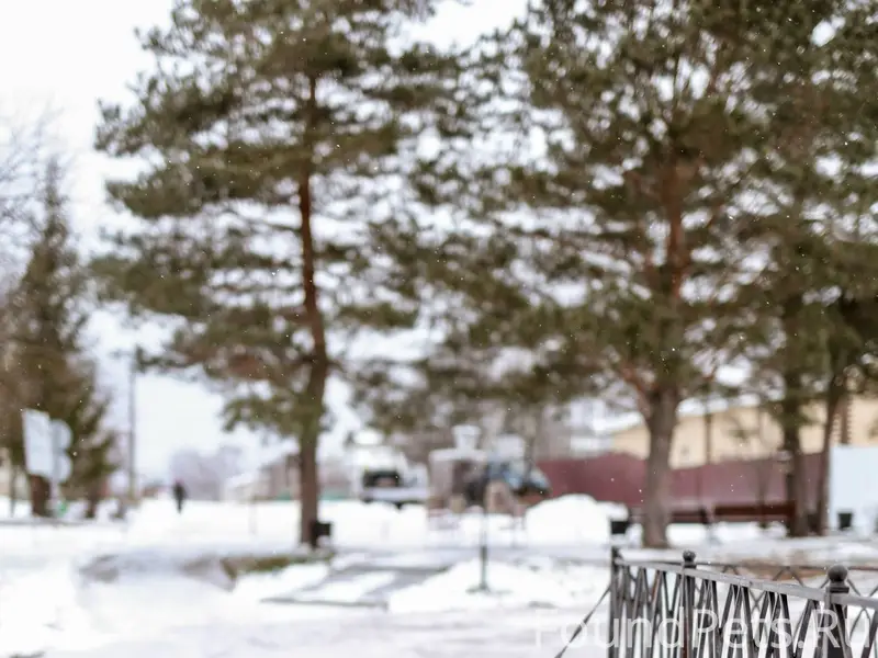 Пропала собака. Просьба позвон...