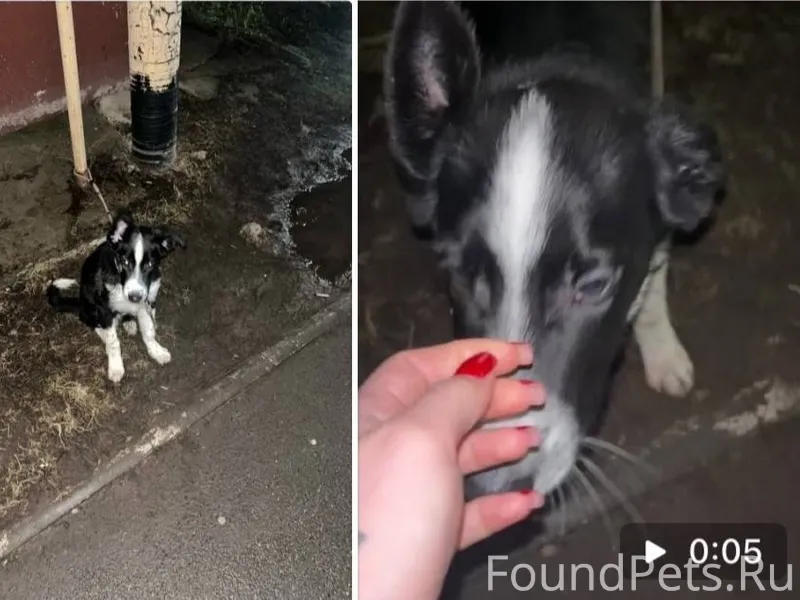 Йошкар-Ола, район Ленты. Перед...