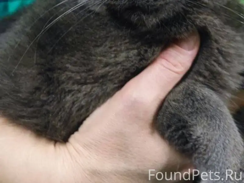 ‼️ВНИМАНИЕ‼️ Сегодня найден ко...