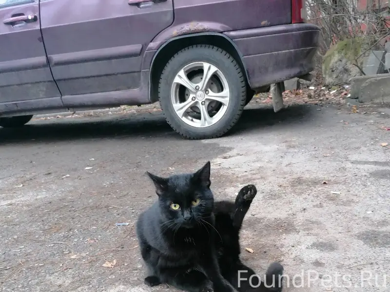 04.12.2025 15:18 Район...