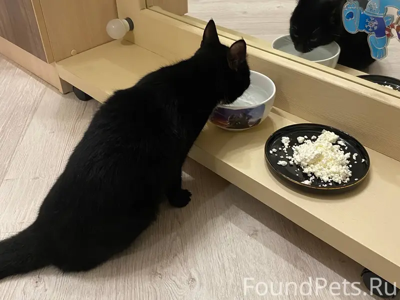 ‼️ Внимание, Белгород ‼️ Сегод...