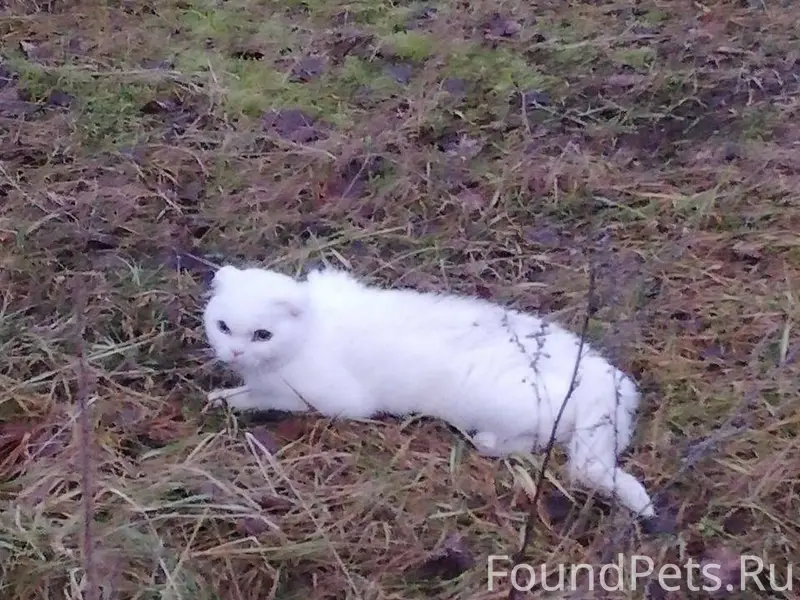 Володарск! Мичурина! Помогаю и...