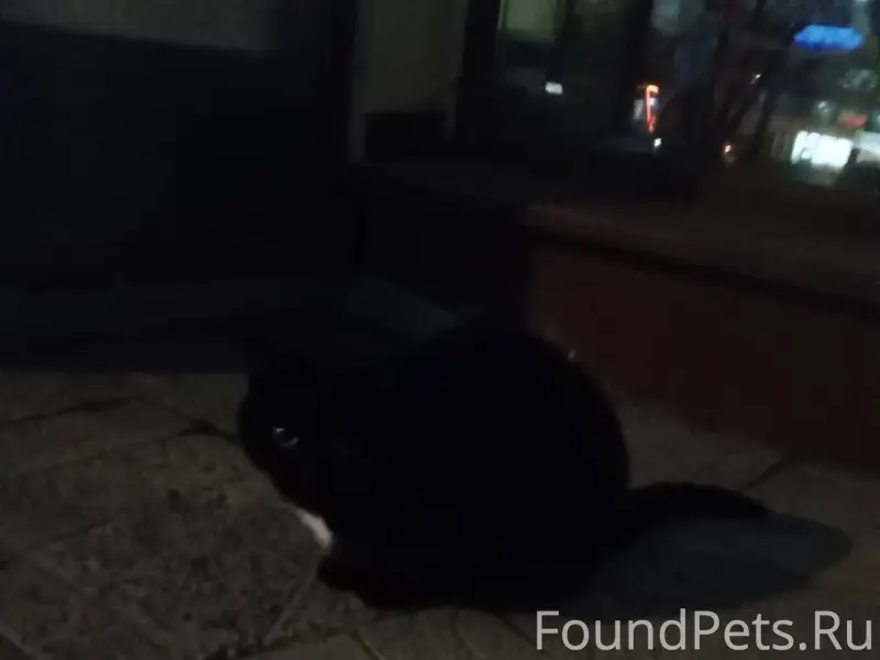 ❗️Несколько дней назад появила...