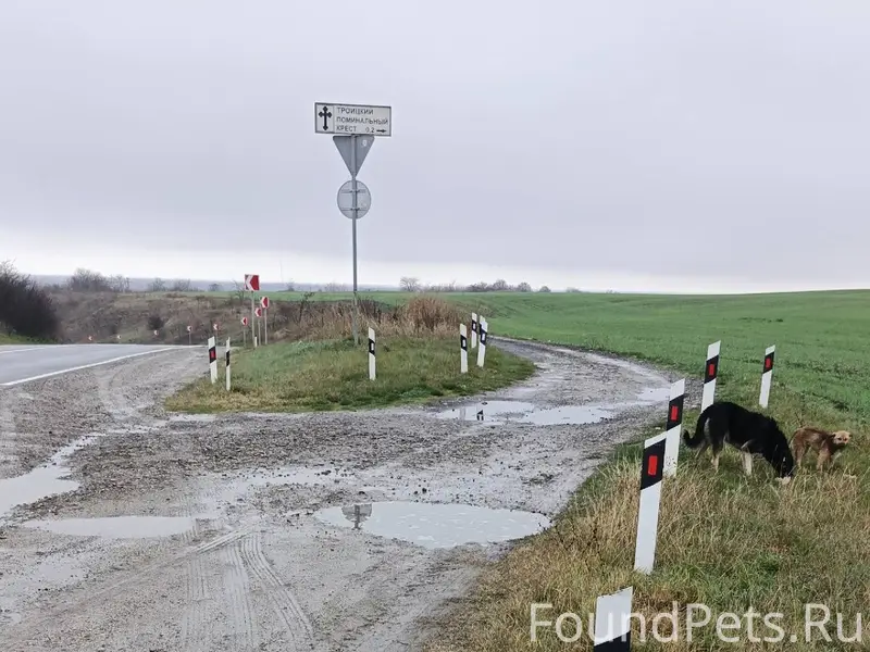 ❗Присмотритесь, может это ваши...