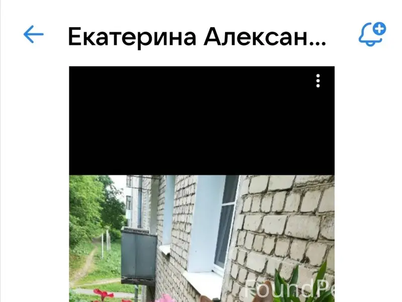 Друзья, я знаю вы все не...