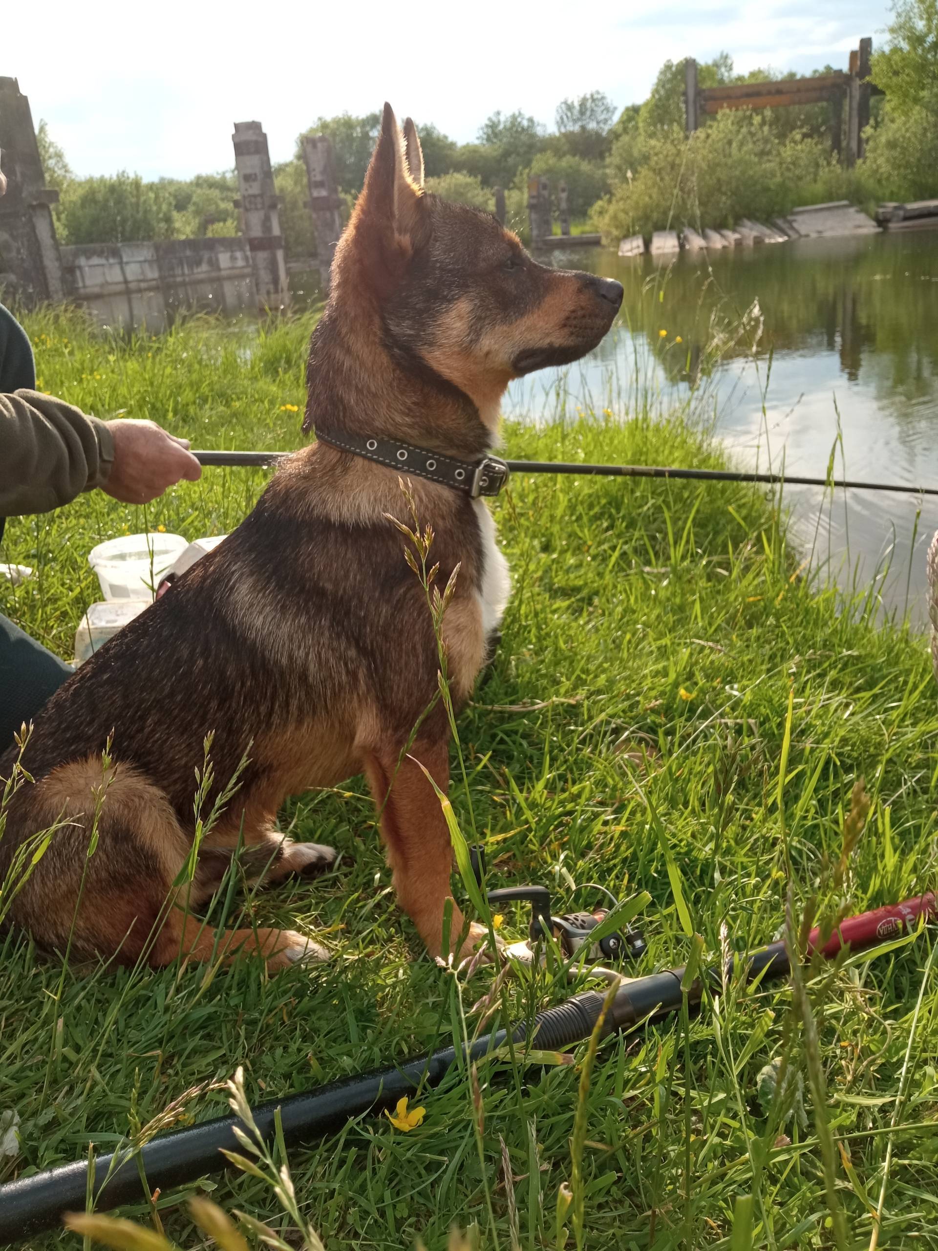 Уважаемые земляки! Просим помо...
