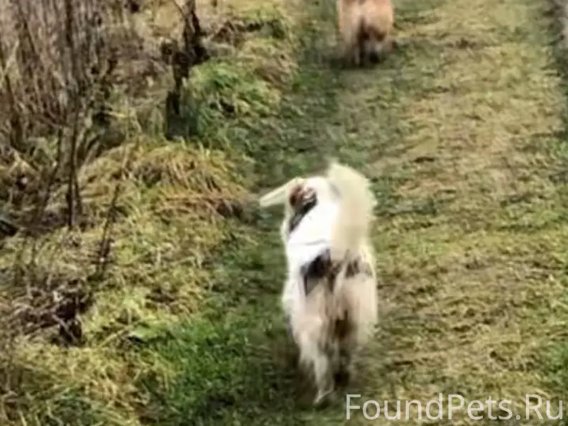 По просьбе подписчиков публику...