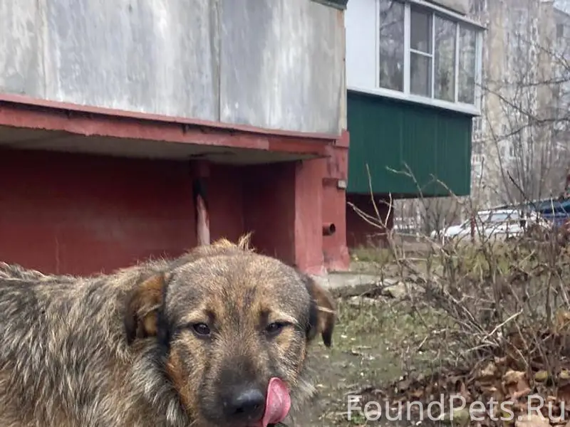 04.12.2025 22:49 Две...