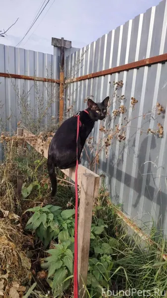 #Калуга Здравствуйте, а д. ШОП...