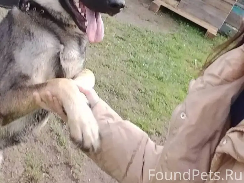 #Черныйсписок #Ржев ВНИМАНИЕ‼ ...