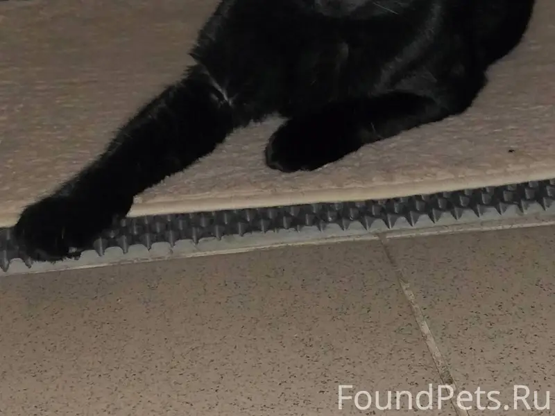 В районе ТЦ "Мозаика" на Ленин...