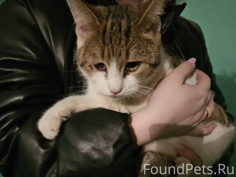 Возле хлебопекарни со стороны ...