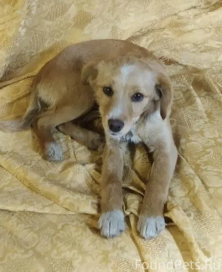 Улан-Удэ Добрый вечер! Я нашел...