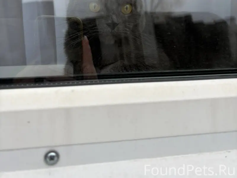 Помогите пожалуйста 🙏🏻😥 Послед...