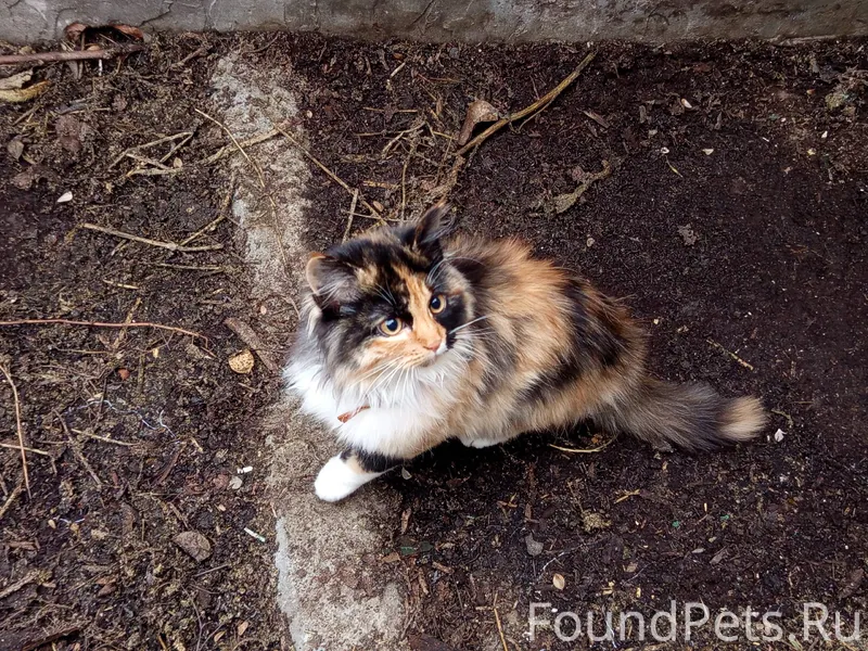 Не анон. вчера поздно ночью в....