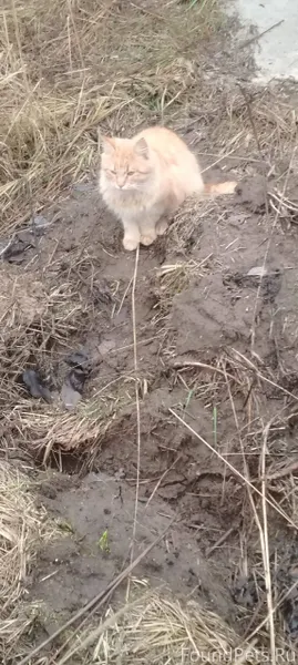 На территории начинающейся стр...