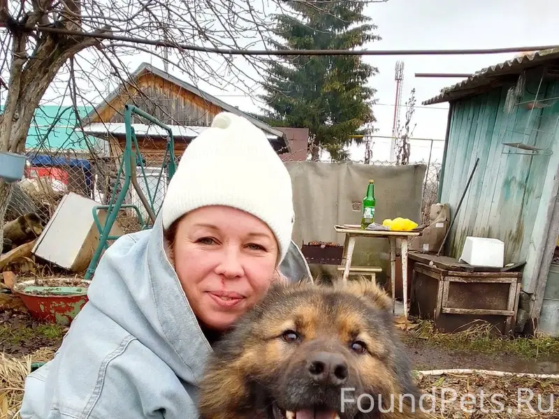 Ребята помощь нужна вчера с Ша...