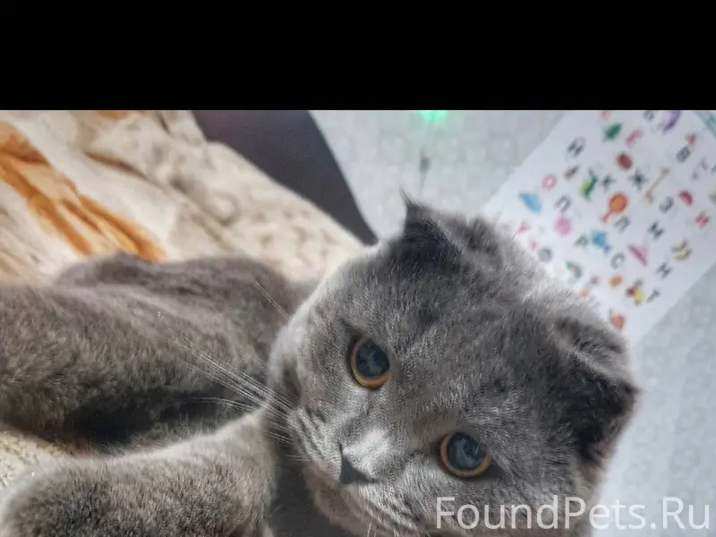 Пожалуйста выложите. Не аноним...