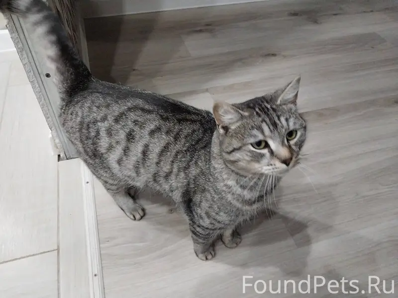 В Новомосковске 1 декабря в ра...