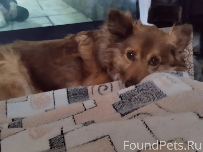 Доброго времени суток! Помогит...