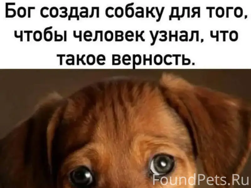 ВНИМАНИЕ,у кого 4 декабря, про...