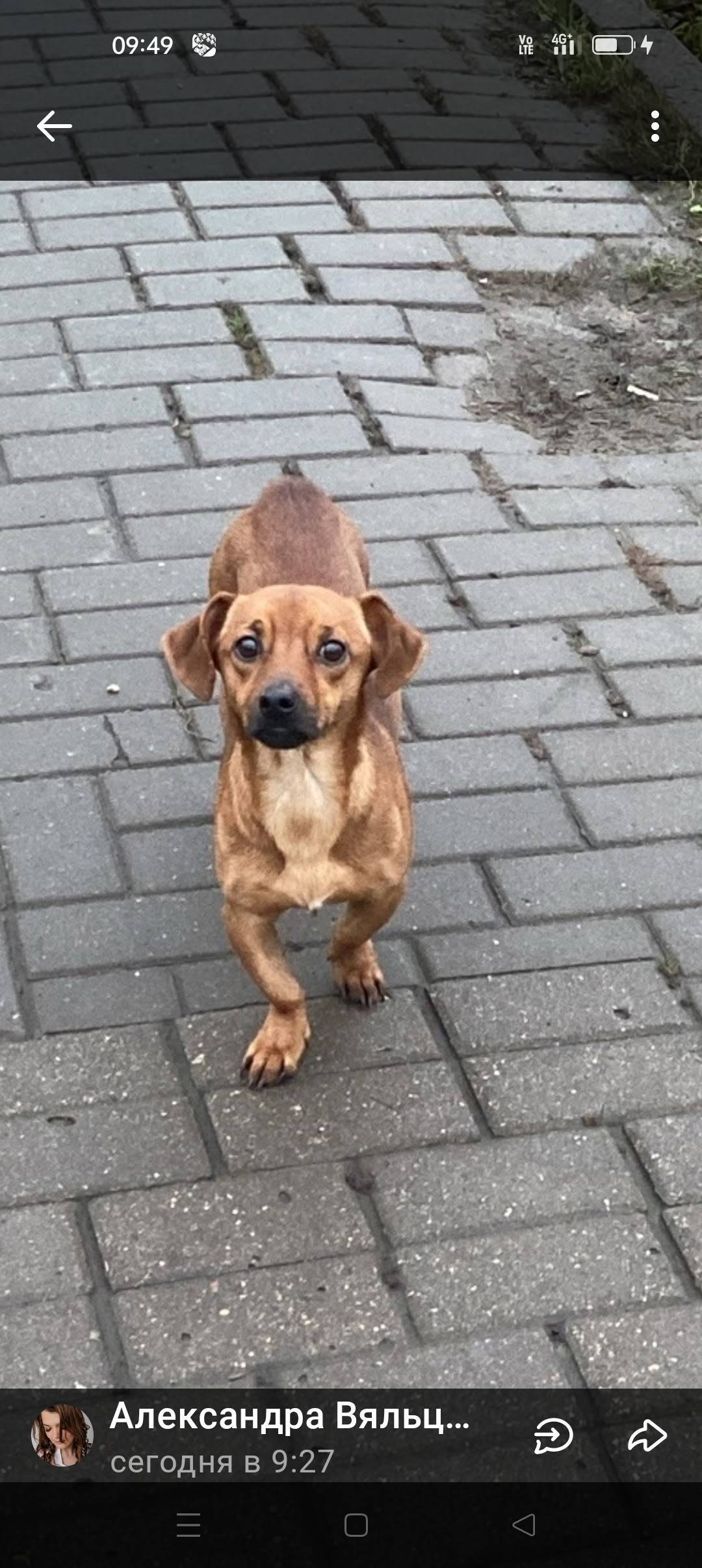 Московская обл. г. Егорьевск Н...