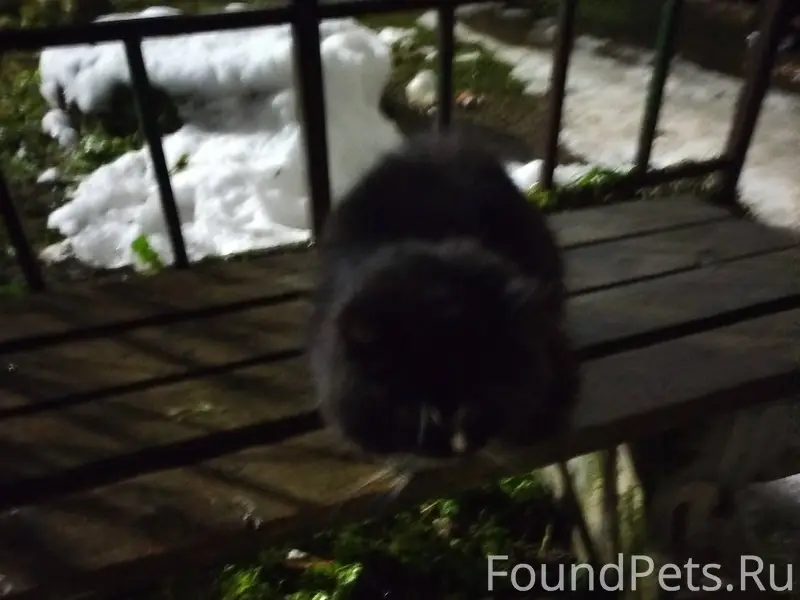 Жители посёлка Совхозный! Кто ...