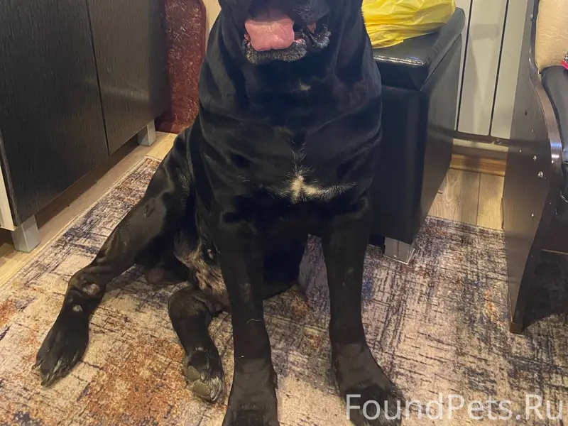 #Черныйсписок #Ржев 🆘🆘🆘🆘🆘🆘🆘🆘🆘С...