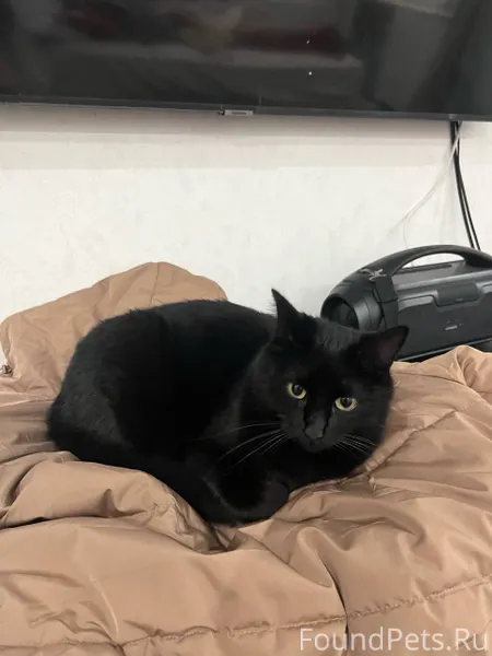 Всем здравствуйте, у нас пропа...