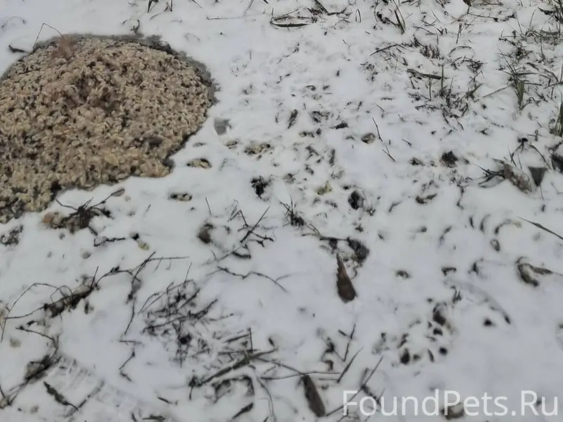 СРОЧНО! Просим максимальный ре...